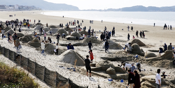 태안군, 3년 만에 ‘국제 모래조각 페스티벌’ 개최