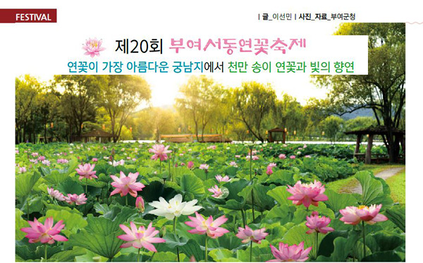 부여군, 제20회 부여서동연꽃축제 개최