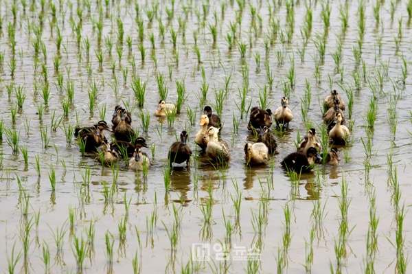 홍성군, 유기농 가치확산 위한 유기농업 특구의 오늘과 내일