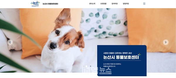 논산시, 동물보호센터 공식 누리집 문 열다